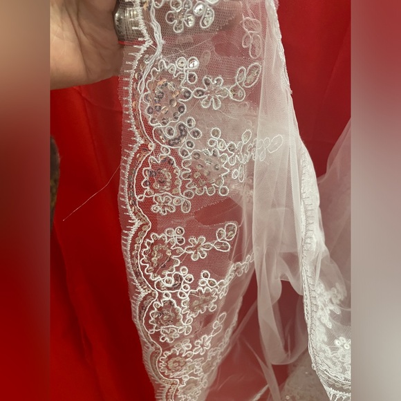 Veil - Picture 4 of 6